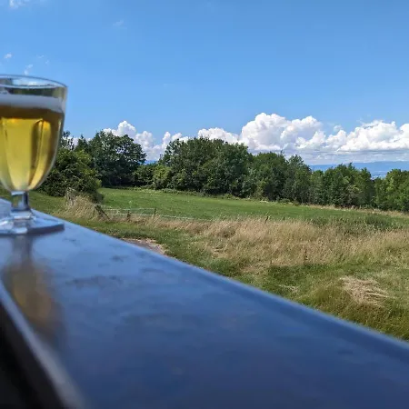 Au Coeur De La Montagne Apartment Thollon-les-Memises